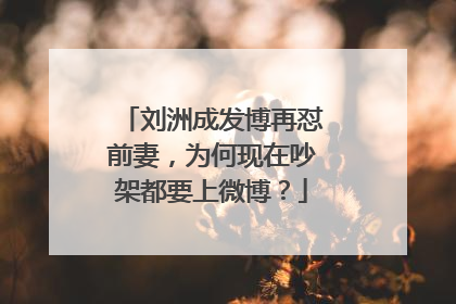 刘洲成发博再怼前妻,为何现在吵架都要上微博?