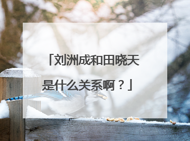 刘洲成和田晓天是什么关系啊？