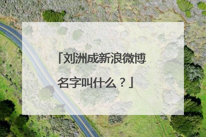 刘洲成新浪微博名字叫什么？