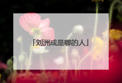 刘洲成是哪的人