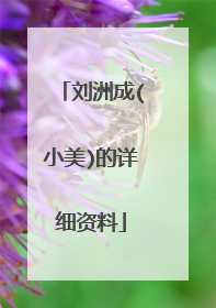 刘洲成(小美)的详细资料