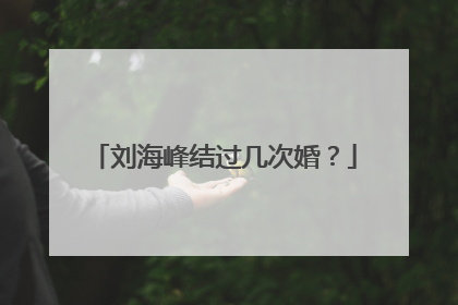 刘海峰结过几次婚?