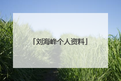 刘海峰个人资料