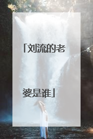 刘流的老婆是谁