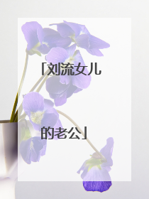 刘流女儿的老公