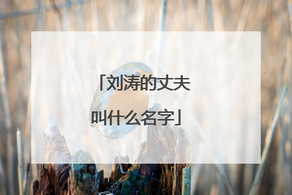 刘涛的丈夫叫什么名字