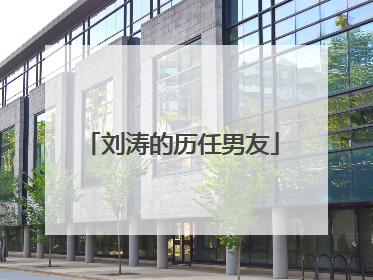 刘涛的历任男友