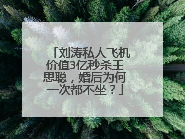 刘涛私人飞机价值3亿秒杀王思聪,婚后为何一次都不坐?