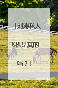 刘涛私人飞机是真的吗?