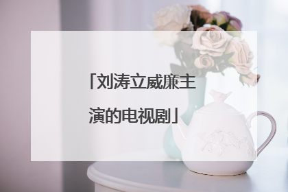 刘涛立威廉主演的电视剧