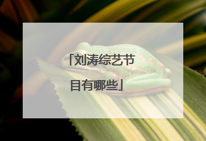 刘涛综艺节目有哪些