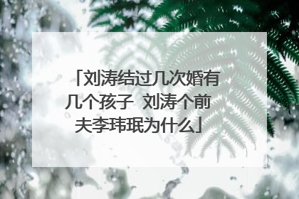 刘涛结过几次婚有几个孩子 刘涛个前夫李玮珉为什么