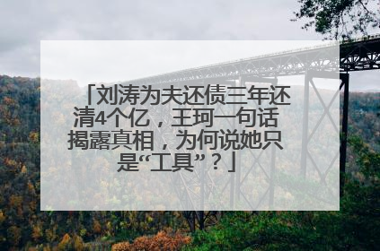 刘涛为夫还债三年还清4个亿，王珂一句话揭露真相，为何说她只是“工具”？