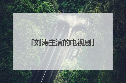 刘涛主演的电视剧