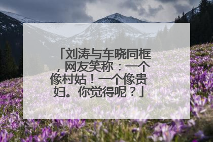 刘涛与车晓同框,网友笑称:一个像村姑!一个像贵妇。你觉得呢?