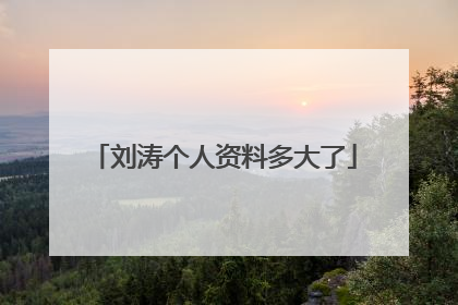 刘涛个人资料多大了