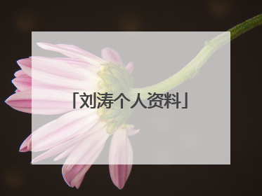 刘涛个人资料