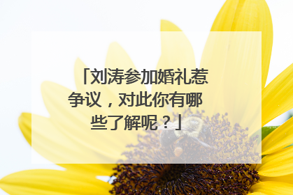 刘涛参加婚礼惹争议,对此你有哪些了解呢?