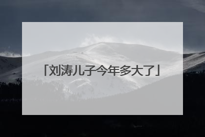 刘涛儿子今年多大了