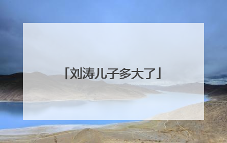 刘涛儿子多大了