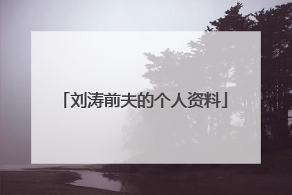 刘涛前夫的个人资料