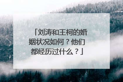 刘涛和王柯的婚姻状况如何？他们都经历过什么？