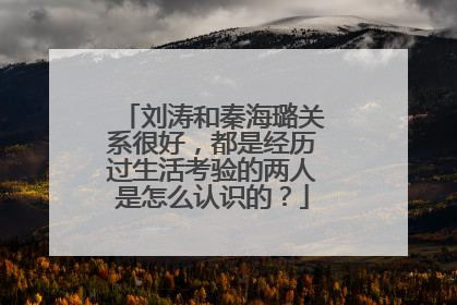 刘涛和秦海璐关系很好，都是经历过生活考验的两人是怎么认识的？
