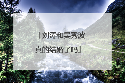 刘涛和吴秀波真的结婚了吗