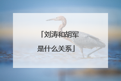 刘涛和胡军是什么关系