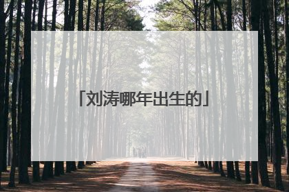 刘涛哪年出生的