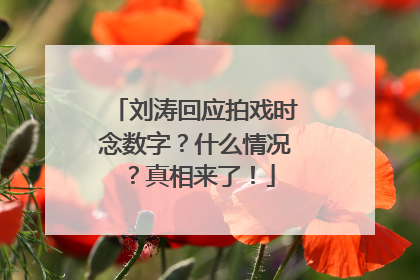 刘涛回应拍戏时念数字？什么情况？真相来了！
