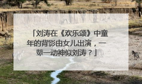 刘涛在《欢乐颂》中童年的背影由女儿出演，一颦一动神似刘涛？