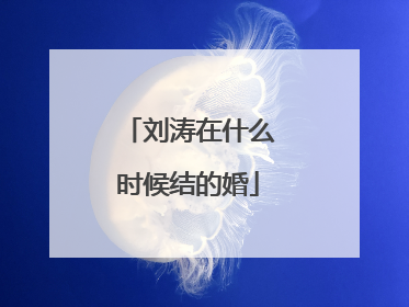 刘涛在什么时候结的婚