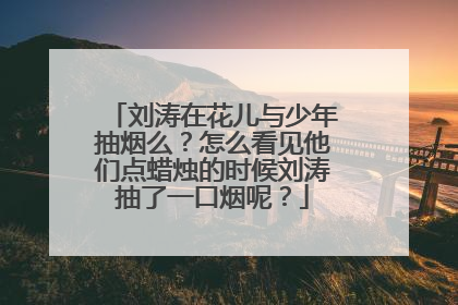 刘涛在花儿与少年抽烟么?怎么看见他们点蜡烛的时候刘涛抽了一口烟呢?