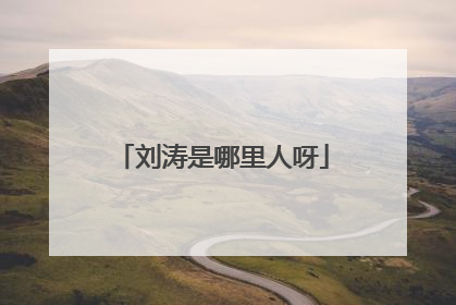 刘涛是哪里人呀