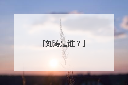 刘涛是谁？