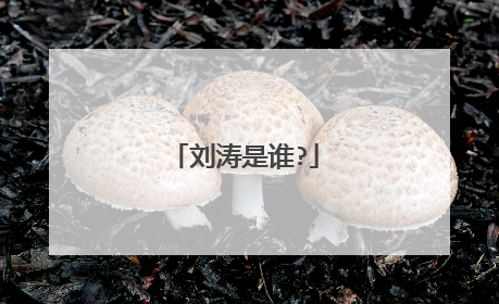 刘涛是谁?