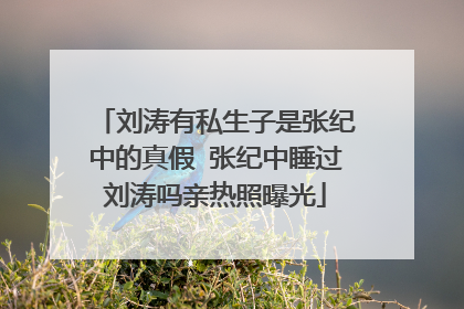 刘涛有私生子是张纪中的真假 张纪中睡过刘涛吗亲热照曝光