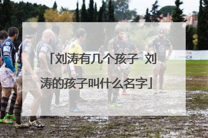 刘涛有几个孩子 刘涛的孩子叫什么名字