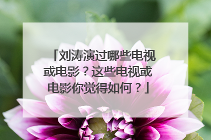 刘涛演过哪些电视或电影？这些电视或电影你觉得如何？