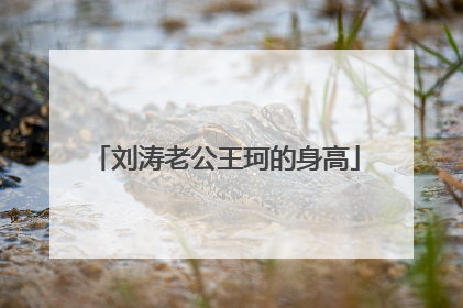 刘涛老公王珂的身高