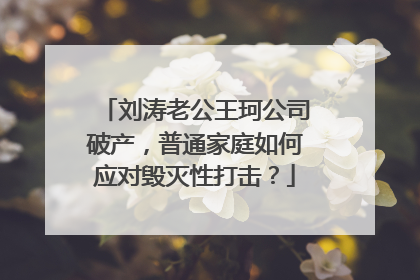 刘涛老公王珂公司破产,普通家庭如何应对毁灭性打击?