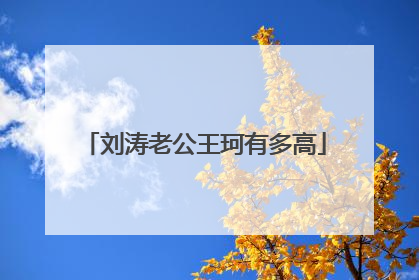 刘涛老公王珂有多高