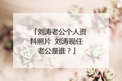 刘涛老公个人资料照片 刘涛现任老公是谁?