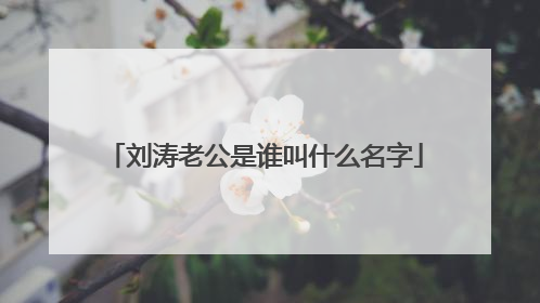 刘涛老公是谁叫什么名字