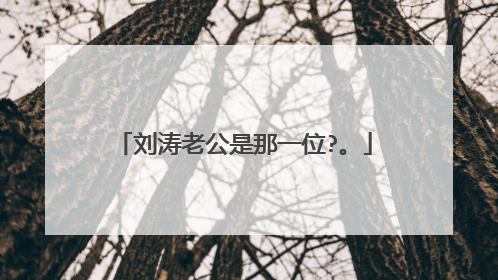 刘涛老公是那一位?。