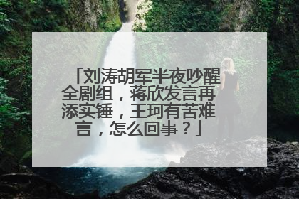 刘涛胡军半夜吵醒全剧组,蒋欣发言再添实锤,王珂有苦难言,怎么回事?