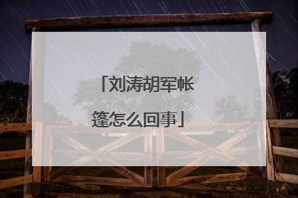 刘涛胡军帐篷怎么回事