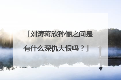 刘涛蒋欣孙俪之间是有什么深仇大恨吗？