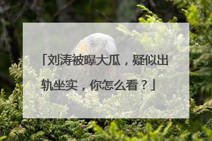 刘涛被曝大瓜,疑似出轨坐实,你怎么看?